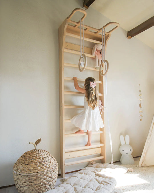 Multi-Functional Fitness Climbing Frame