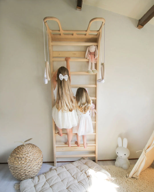 Multi-Functional Fitness Climbing Frame