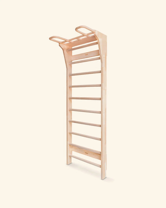 Multi-Functional Fitness Climbing Frame