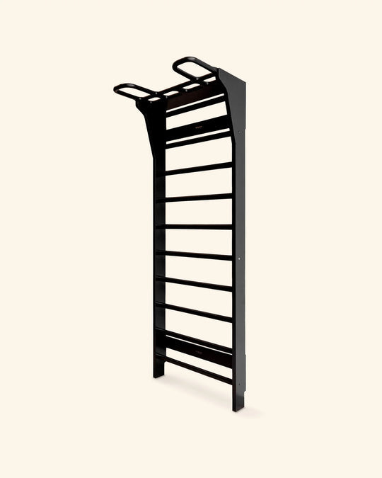 Multi-Functional Fitness Climbing Frame