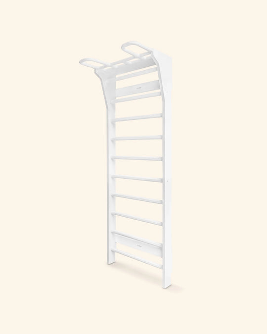 Multi-Functional Fitness Climbing Frame